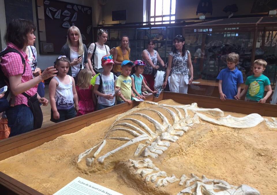 Galerie de Paléontologie et d’Anatomie comparée